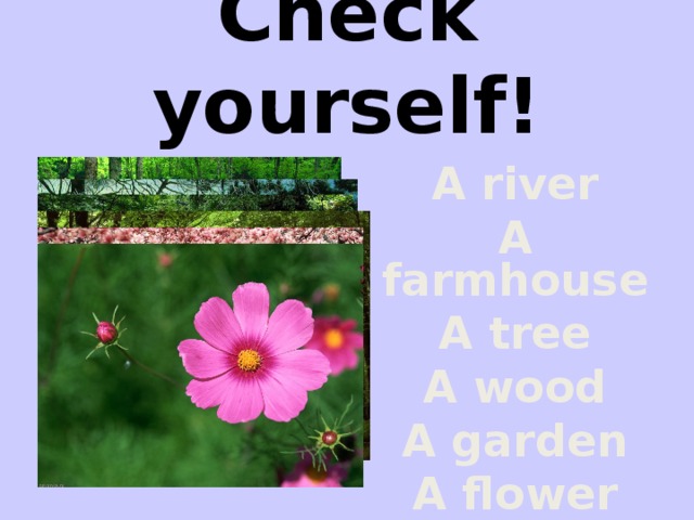 Check yourself! A river A farmhouse A tree A wood A garden A flower