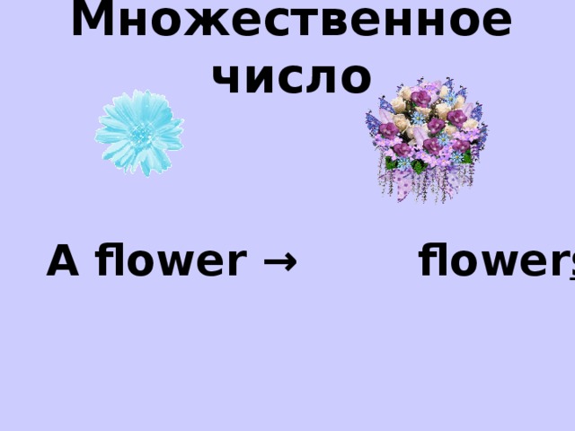 Множественное число A flower → flower s