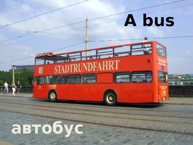 A bus автобус