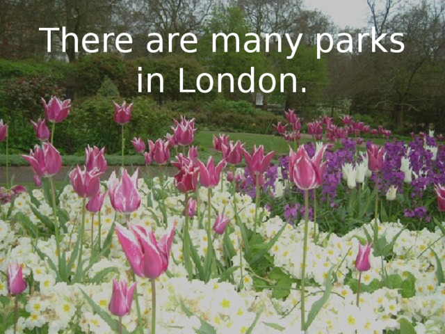 There are many parks in London.
