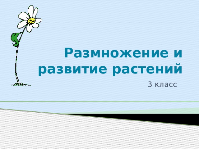 Размножение и развитие растений 3 класс