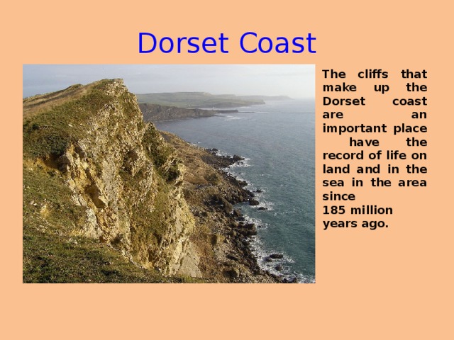 Dorset Coast The cliffs that make up the Dorset coast are an important place have the record of life on land and in the sea in the area since 185 million years ago.
