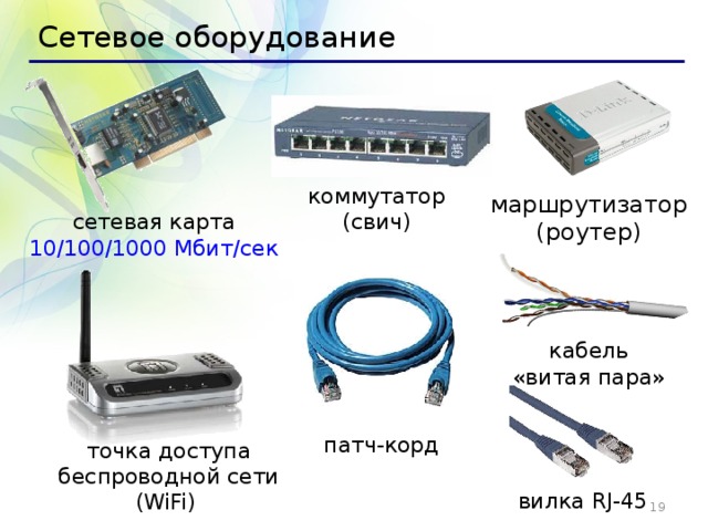 Сетевое оборудование коммутатор (свич) маршрутизатор  (роутер) сетевая карта 10/100/1000 Мбит/сек  кабель  «витая пара» патч-корд точка доступа беспроводной сети (WiFi) вилка RJ-45