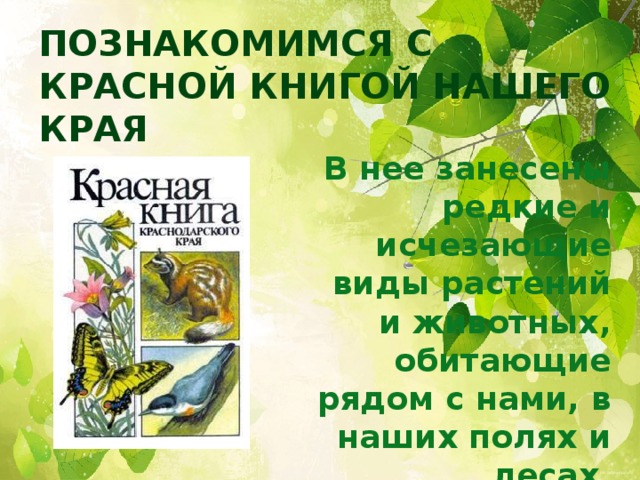 Познакомимся с Красной книгой нашего края В нее занесены редкие и исчезающие виды растений и животных, обитающие рядом с нами, в наших полях и лесах.