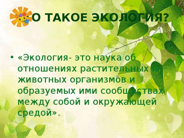 Что такое экология?