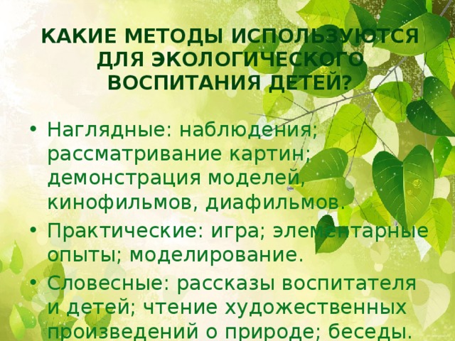 Какие методы используются для экологического воспитания детей?