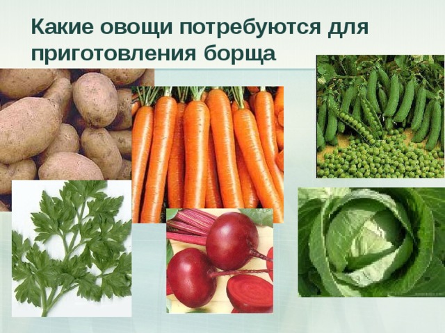 Какие овощи потребуются для приготовления борща