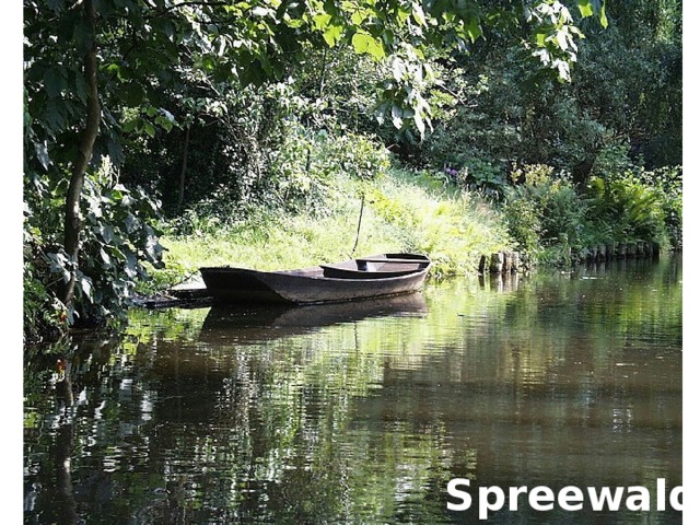 Spreewald