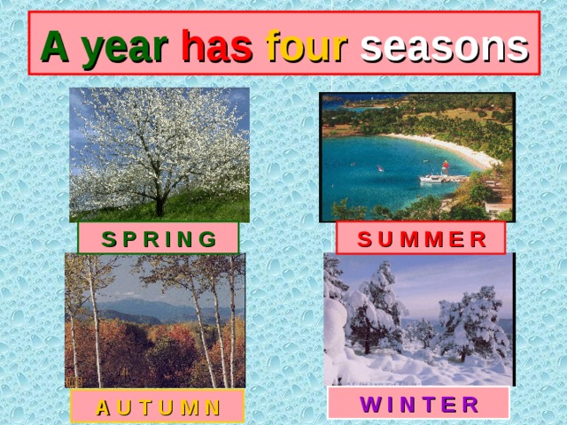 A year  has  four  seasons S U M M E R S P R I N G W I N T E R A U T U M N