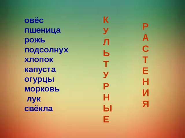 К У Л Ь Т У Р Н Ы Е  овёс пшеница рожь подсолнух хлопок капуста огурцы морковь  лук свёкла  Р А С Т Е Н И Я