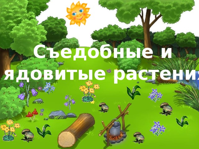 Съедобные и ядовитые растения