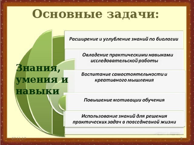 Дополнительные знания умения навыки для бизнес плана