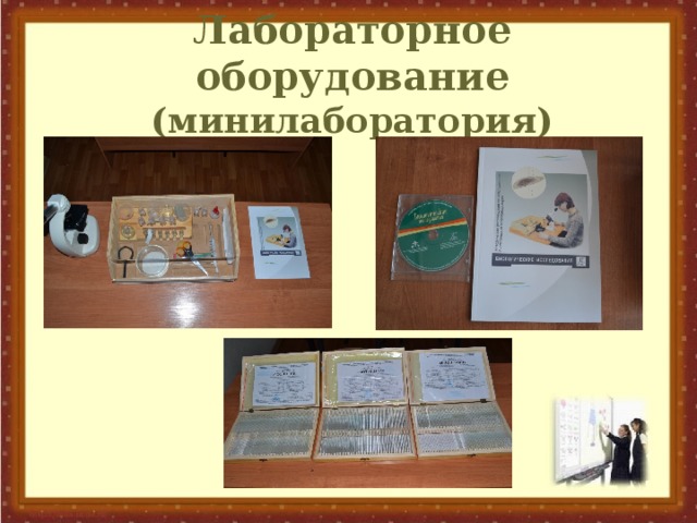 Лабораторное оборудование (минилаборатория)