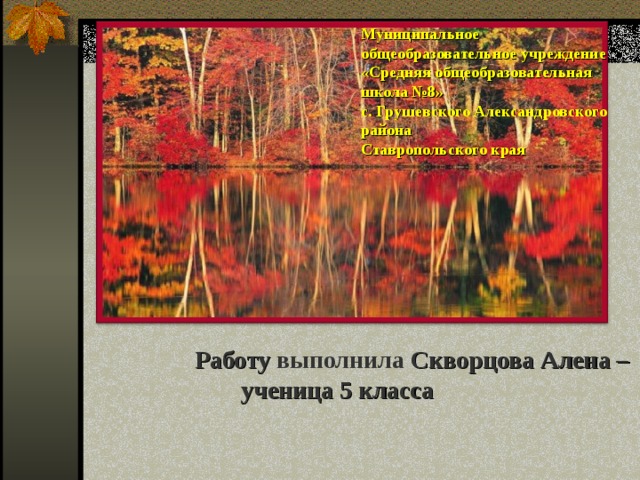 Муниципальное общеобразовательное учреждение «Средняя общеобразовательная школа №8» с. Грушевского Александровского района Ставропольского края  Работу выполнила Скворцова Алена –ученица 5 класса