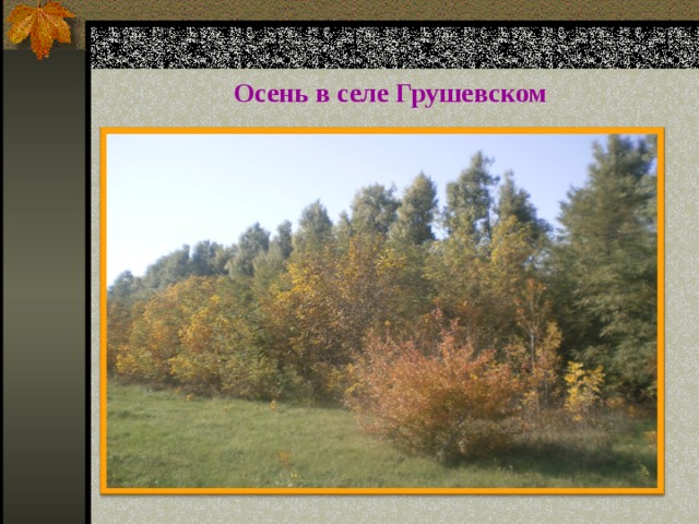 Осень в селе Грушевском