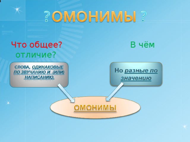 1  Что общее?  В чём отличие? 2