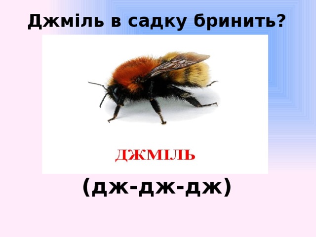 Джміль в садку бринить? (дж-дж-дж)