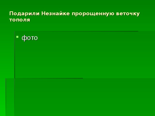 Подарили Незнайке пророщенную веточку тополя