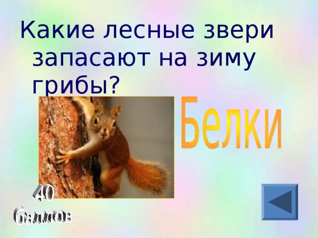 Какие лесные звери запасают на зиму грибы?