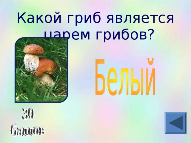 Какой гриб является царем грибов?