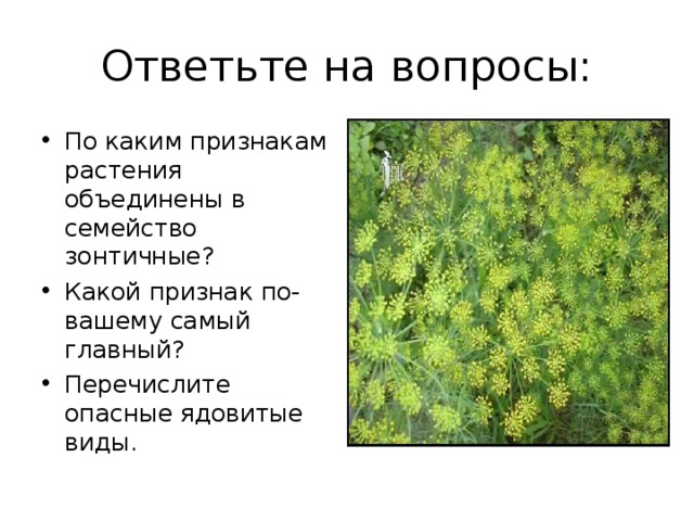 Ответьте на вопросы: