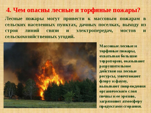 4. Чем опасны лесные и торфяные пожары? Лесные пожары могут привести к массовым пожарам в сельских населенных пунктах, дачных поселках, выходу из строя линий связи и электропередач, мостов и сельскохозяйственных угодий. Массовые лесные и торфяные пожары, охватывая большие территории, оказывают разрушительное действие на лесные ресурсы, уничтожают флору и фауну, вызывают повреждения органического слоя почвы и ее эрозию, загрязняют атмосферу продуктами сгорания.