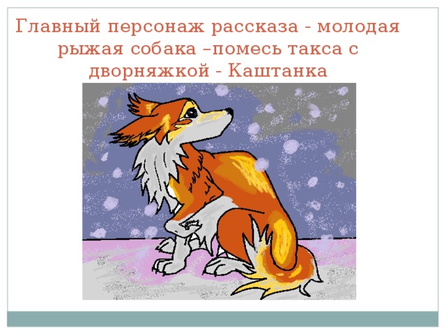 Главный персонаж рассказа - молодая рыжая собака –помесь такса с дворняжкой - Каштанка