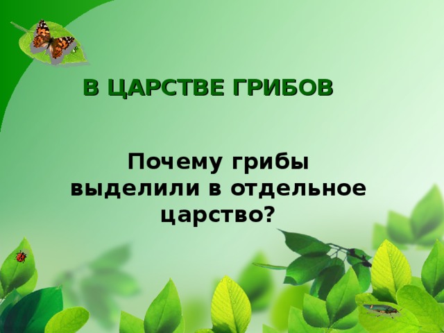 В ЦАРСТВЕ ГРИБОВ Почему грибы выделили в отдельное царство?