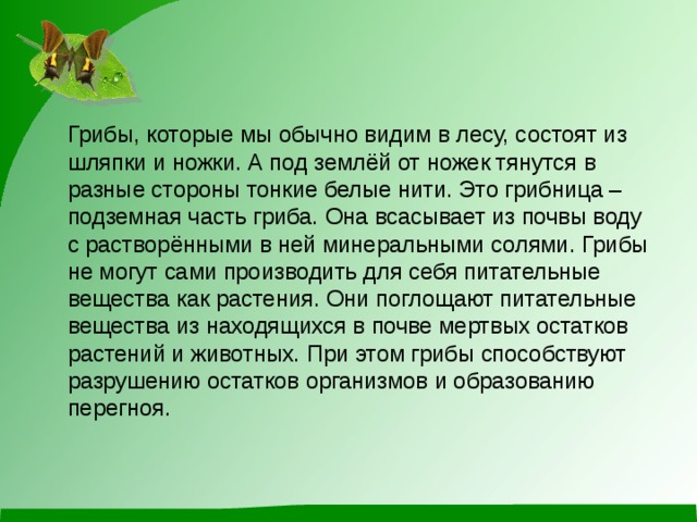 Грибы, которые мы обычно видим в лесу, состоят из шляпки и ножки. А под землёй от ножек тянутся в разные стороны тонкие белые нити. Это грибница – подземная часть гриба. Она всасывает из почвы воду с растворёнными в ней минеральными солями. Грибы не могут сами производить для себя питательные вещества как растения. Они поглощают питательные вещества из находящихся в почве мертвых остатков растений и животных. При этом грибы способствуют разрушению остатков организмов и образованию перегноя.