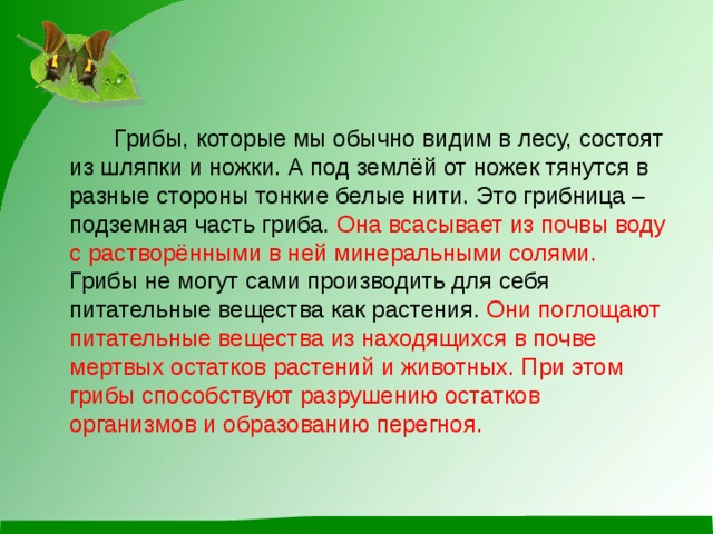 Грибы, которые мы обычно видим в лесу, состоят из шляпки и ножки. А под землёй от ножек тянутся в разные стороны тонкие белые нити. Это грибница – подземная часть гриба. Она всасывает из почвы воду с растворёнными в ней минеральными солями. Грибы не могут сами производить для себя питательные вещества как растения. Они поглощают питательные вещества из находящихся в почве мертвых остатков растений и животных. При этом грибы способствуют разрушению остатков организмов и образованию перегноя.