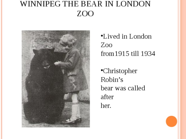 WINNIPEG THE BEAR IN LONDON ZOO   Lived in London Zoo from1915 till 1934 Christopher Robin’s bear was called after her.