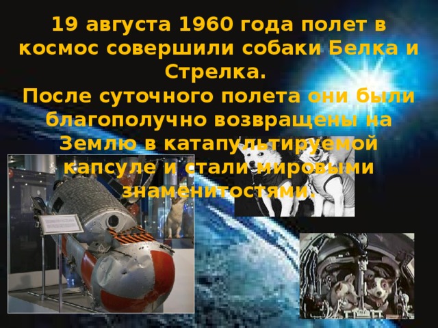 19 августа 1960 года полет в космос совершили собаки Белка и Стрелка. После суточного полета они были благополучно возвращены на Землю в катапультируемой капсуле и стали мировыми знаменитостями.