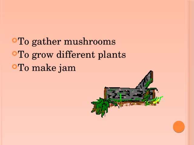 To gather mushrooms To grow different plants To make jam
