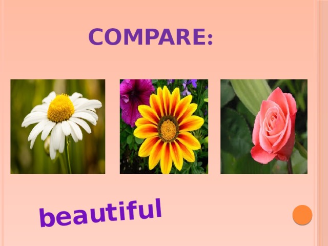 beautiful Compare :