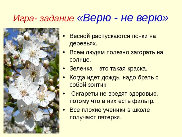 Игра- задание «Верю - не верю»