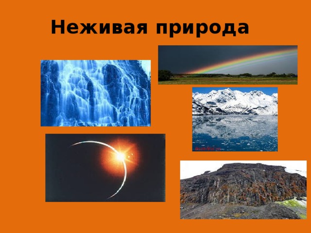 Неживая природа