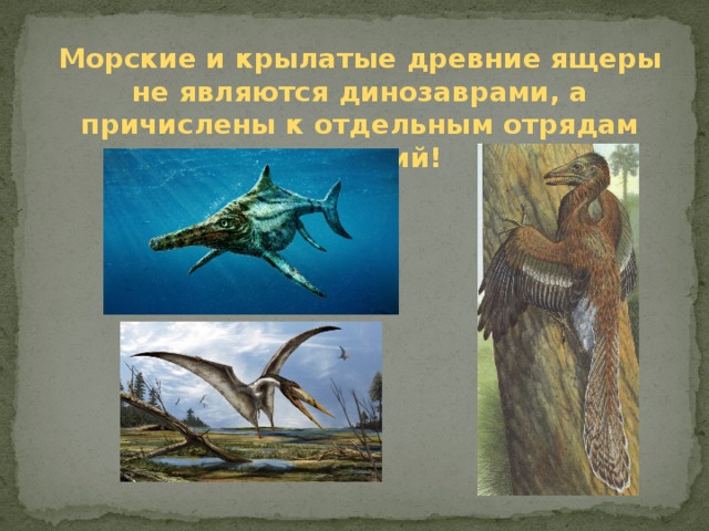 Морские и крылатые древние ящеры не являются динозаврами, а причислены к отдельным отрядам рептилий!