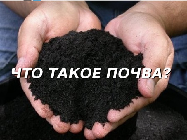 ЧТО ТАКОЕ ПОЧВА?