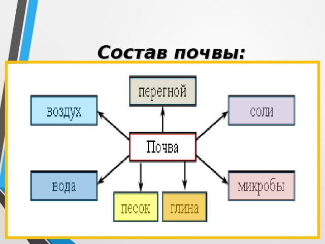 Состав почвы: