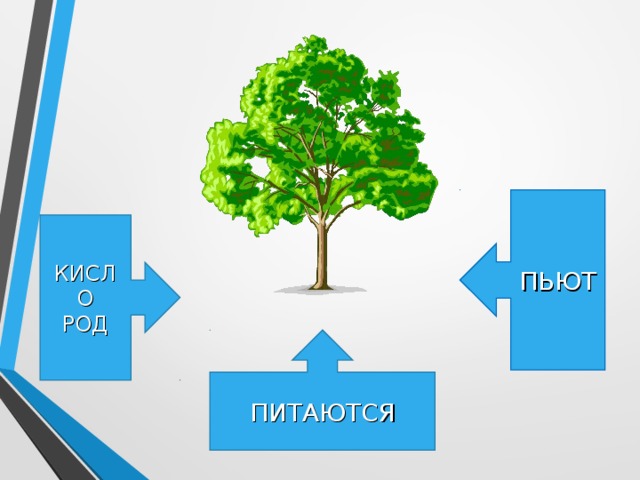 ПЬЮТ КИСЛО РОД ПИТАЮТСЯ