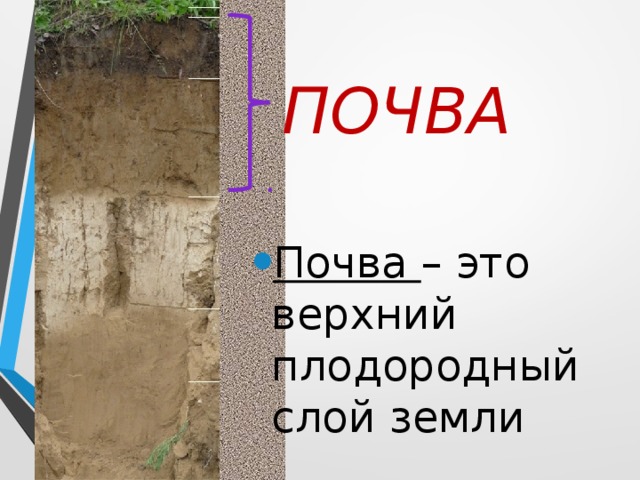 Верхний слой почвы