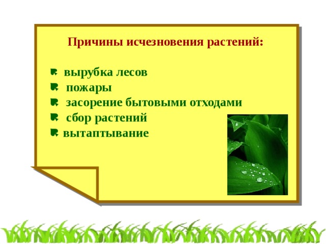 Охрана растений презентация 3 класс окружающий мир плешаков презентация и конспект