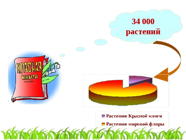 34 000 растений