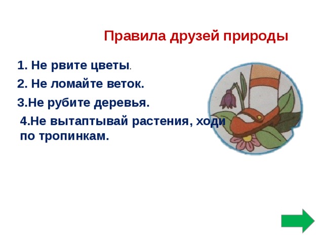 Правила друзей природы 1. Не рвите цветы . 2. Не ломайте веток. 3.Не рубите деревья. 4.Не вытаптывай растения, ходи по тропинкам.