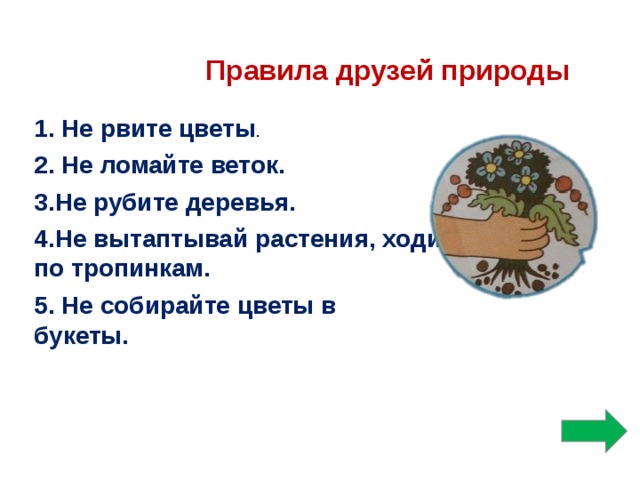 Правила друзей природы 1. Не рвите цветы . 2. Не ломайте веток. 3.Не рубите деревья. 4.Не вытаптывай растения, ходи по тропинкам. 5. Не собирайте цветы в букеты.