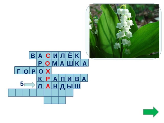 Этот цветок распускается в мае, белые бусинки он одевает.  Л С А В Ё К И Р О М Ш А А К О Х Г Р О И К В А А Р П 5 Н Ы Ш Л А Д