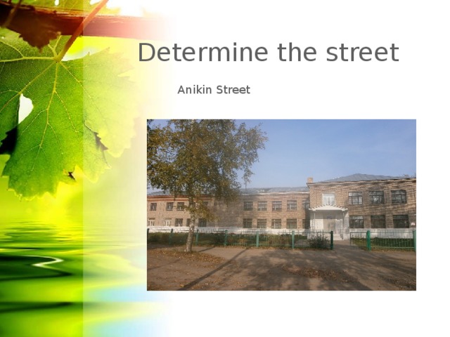 Determine the street  Anikin Street