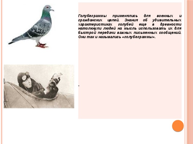 Голубеграммы применялись для военных и гражданских целей. Знания об удивительных характеристиках голубей еще в древности натолкнули людей на мысль использовать их для быстрой передачи важных письменных сообщений. Они так и назывались «голубеграммы».   ,