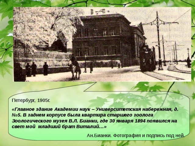 Петербург, 1905г. «Главное здание Академии наук – Университетская набережная, д.№5. В заднем корпусе была квартира старшего зоолога Зоологического музея В.Л. Бианки, где 30 января 1894 появился на свет мой младший брат Виталий…»  Ан.Бианки. Фотография и подпись под ней.