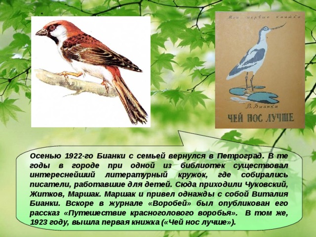 Осенью 1922-го Бианки с семьей вернулся в Петроград. В те годы в городе при одной из библиотек существовал интереснейший литературный кружок, где собирались писатели, работавшие для детей. Сюда приходили Чуковский, Житков, Маршак. Маршак и привел однажды с собой Виталия Бианки. Вскоре в журнале «Воробей» был опубликован его рассказ «Путешествие красноголового воробья». В том же, 1923 году, вышла первая книжка («Чей нос лучше»).